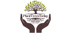 PlantTreesToday